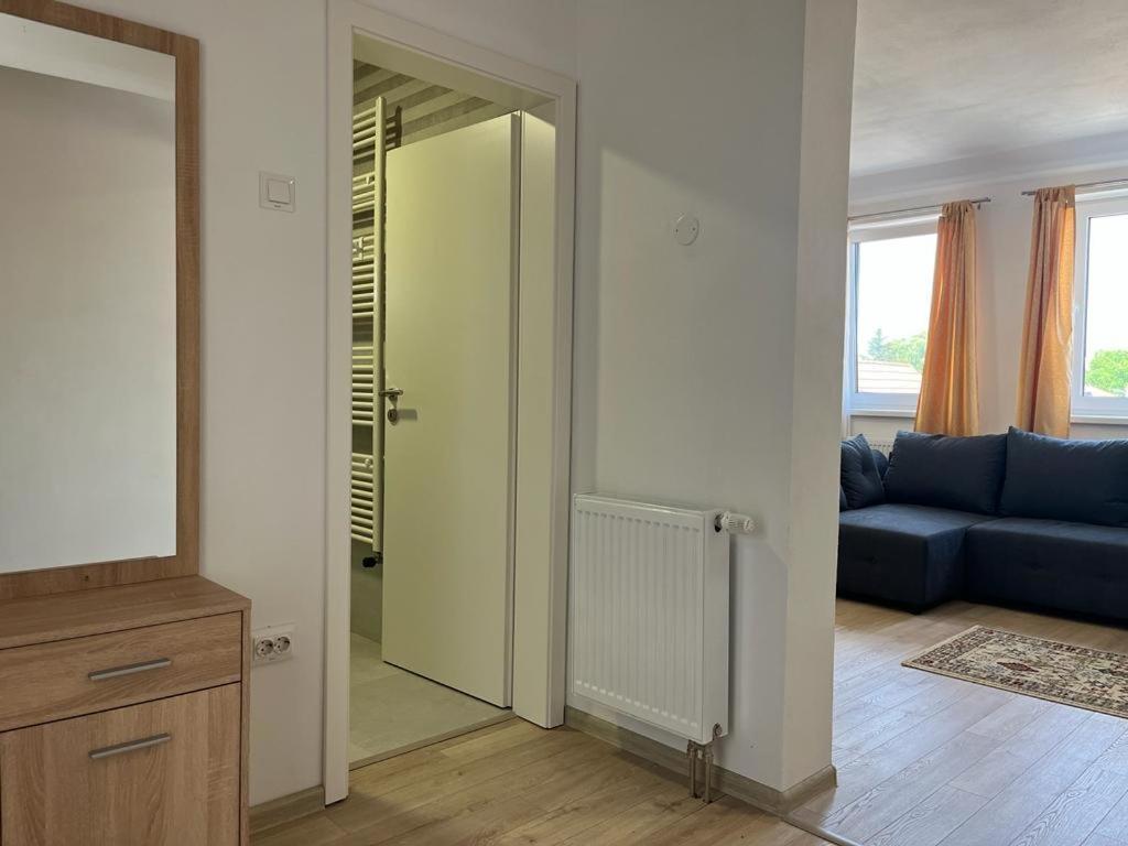 Sabina Apartaments Sfântu-Gheorghe Exterior foto