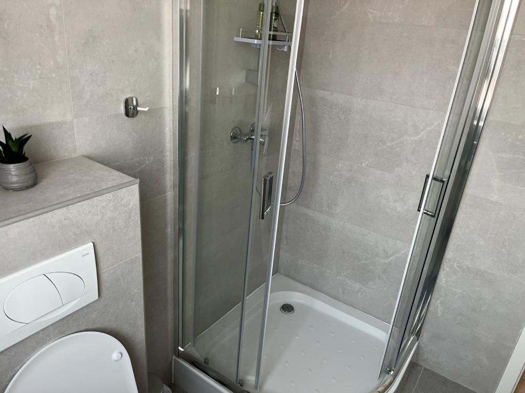 Sabina Apartaments Sfântu-Gheorghe Exterior foto
